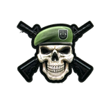 Green Beret Skull V2 PVC Morale Patch - Tactical Outfitters