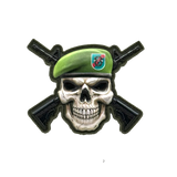 Green Beret Skull V2 PVC Morale Patch - Tactical Outfitters