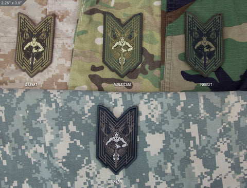 THE LION SERIES MORALE PATCHES – Tactical Outfitters